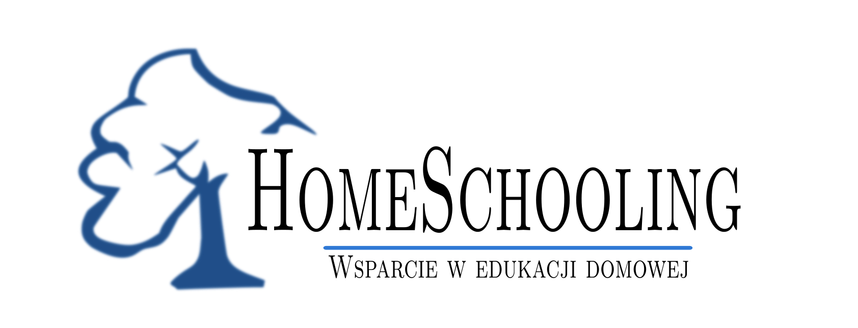 Edukacja domowa